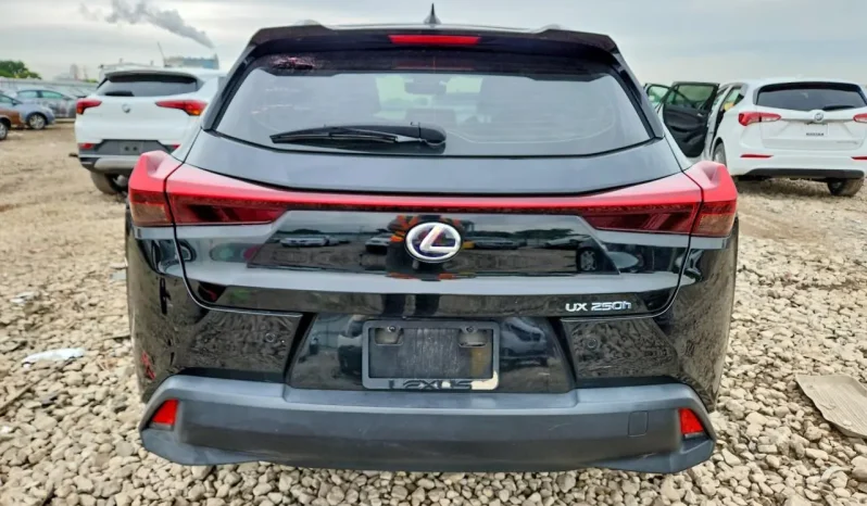 
								Lexus UX 250 full									