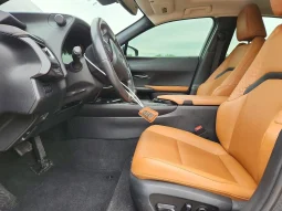 
										Lexus UX 250 full									