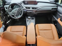 
										Lexus UX 250 full									