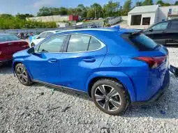 
										Lexus UX full									