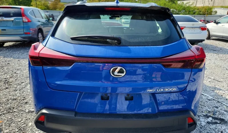 
								Lexus UX full									