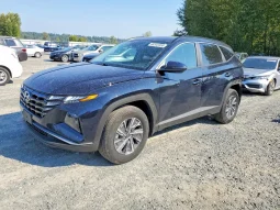 
										Hyundai Tucson full									