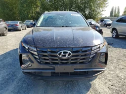 
										Hyundai Tucson full									