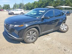 
										Hyundai Tucson full									