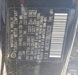 
										Hyundai Tucson full									