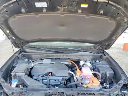 
										Hyundai Tucson full									