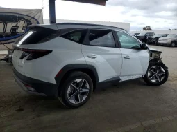 
										Hyundai Tucson full									