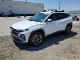 
										Hyundai Tucson full									