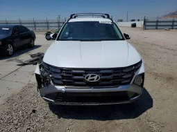 
										Hyundai Tucson full									