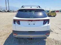 
										Hyundai Tucson full									