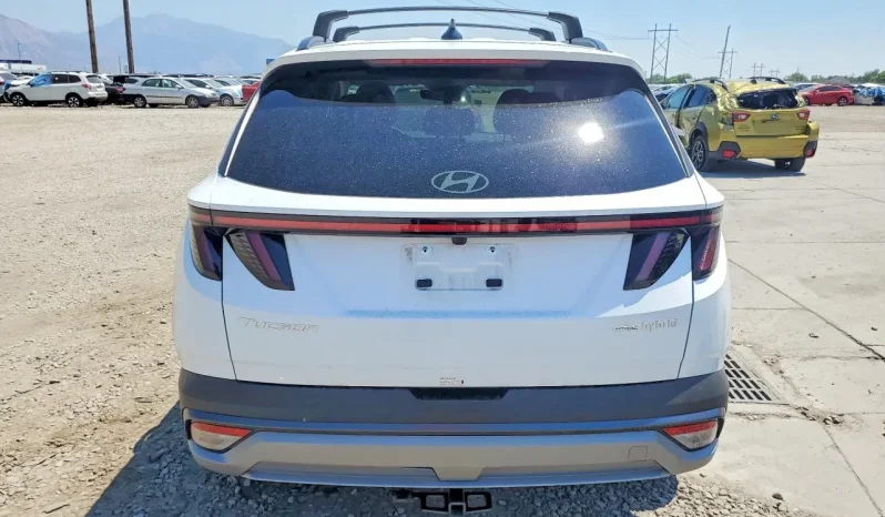 
								Hyundai Tucson full									