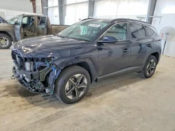 
										Hyundai Tucson full									