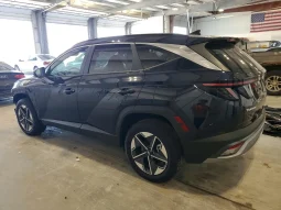 
										Hyundai Tucson full									