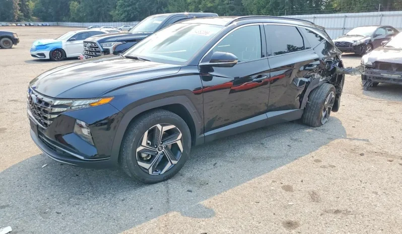 
								Hyundai Tucson full									