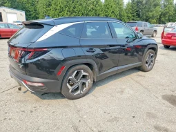 
										Hyundai Tucson full									
