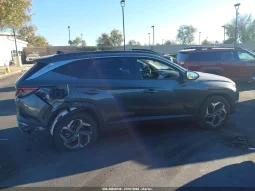 
										Hyundai Tucson full									