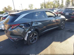 
										Hyundai Tucson full									