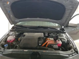 
										Hyundai Elantra full									