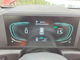 
										KIA Niro full									