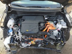 
										KIA Niro full									
