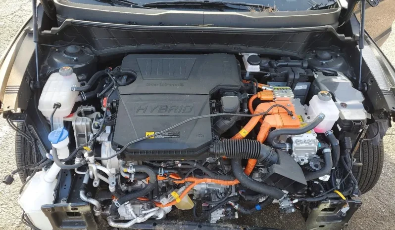 
								KIA Niro full									