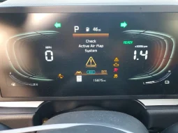 
										KIA Niro full									