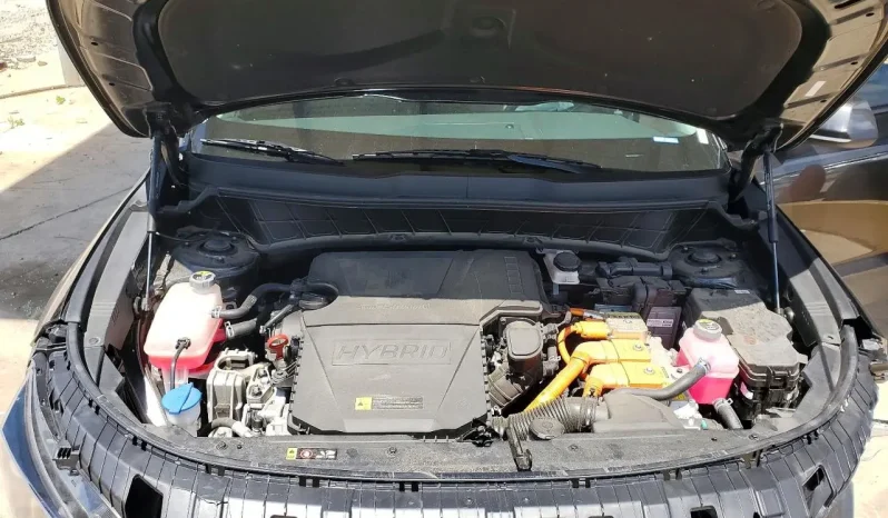 
								Kia Niro full									