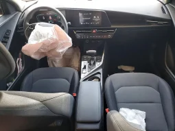 
										Kia Niro full									