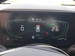 
										Kia Niro full									