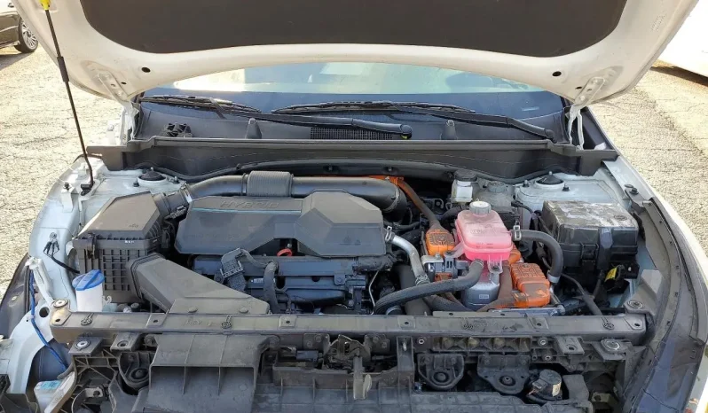 
								KIA Sportage full									
