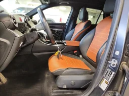 
										Mercedes-Benz GLC 300 full									