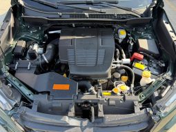 
										2024 Subaru Forester full									