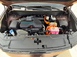 
										2024 Hyundai Santa Fe Calligraphy full									