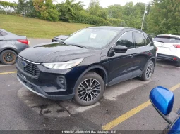 
										Ford Escape full									