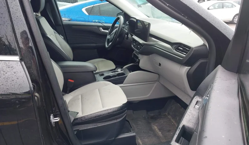 
								Ford Escape full									