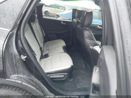 
										Ford Escape full									