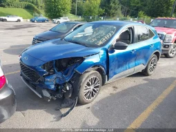 
										Ford Escape full									