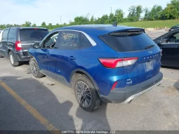 
										Ford Escape full									