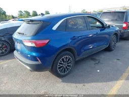 
										Ford Escape full									