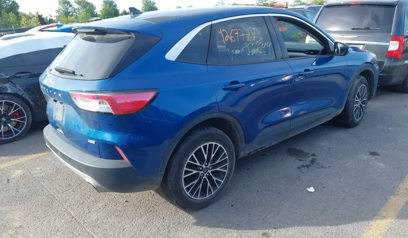 
								Ford Escape full									