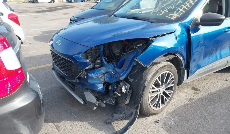 
								Ford Escape full									