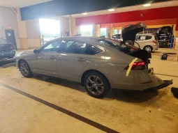 
										Honda Accord full									
