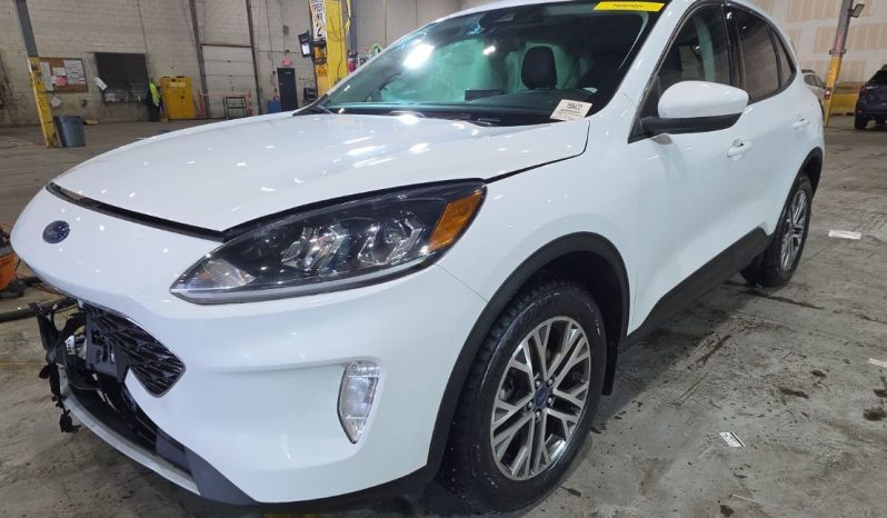
								Ford Escape full									