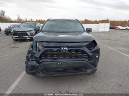 
										Toyota RAV4 full									