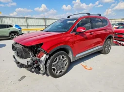 
										Hyundai Santa Fe full									
