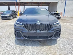 
										BMW X6 full									
