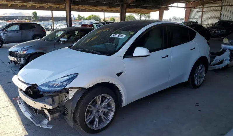 
								Tesla MODEL Y full									