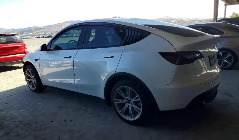
								Tesla MODEL Y full									