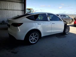 
										Tesla MODEL Y full									