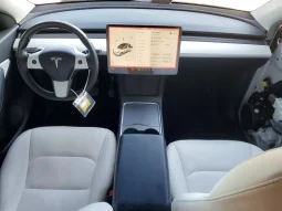 
										Tesla MODEL Y full									